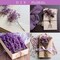 50 pcs Mini Dried Purple Baby Breath Flower Purple Dried Flower for Crafts Press Flowers Wedding Wreath Decoration Gift Card Decor Floral